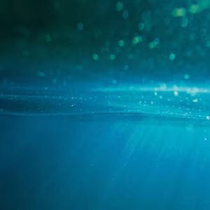 Blue Immersion