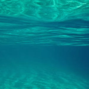 Endless Sea